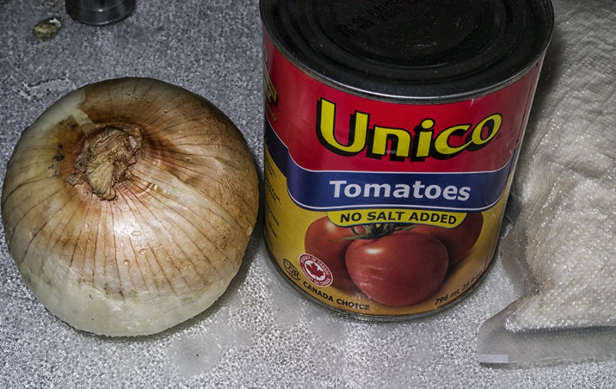 P1030961_OnionTomato-1000.jpg