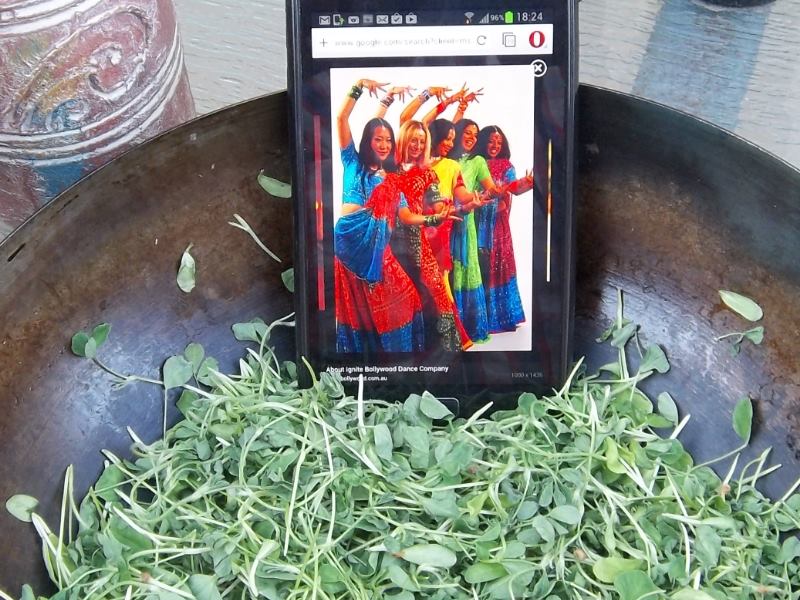 bollywood methi.jpg