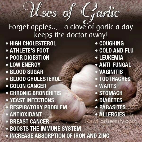 garlic.jpg